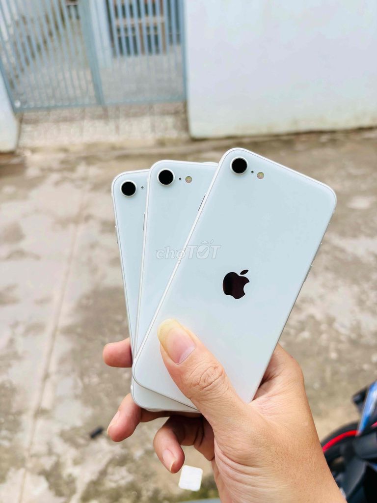 Apple iPhone SE 2020 64GB Trắng Đã sử dụng. Mua bán Điện thoại tại Quận Ninh Kiều Cần Thơ được đăng bởi Thắng Lê hình 1