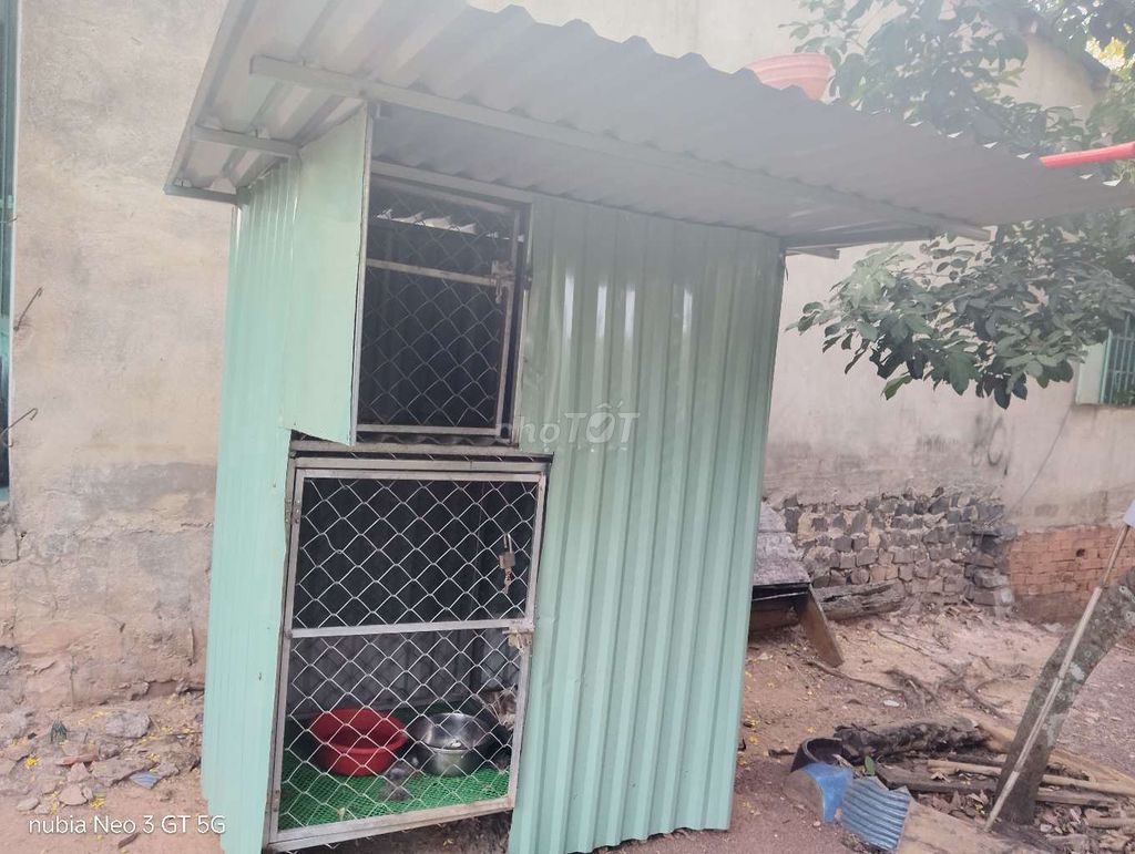 Lồng vận chuyển chó mèo Size M hàng mới. Mua bán Phụ kiện, Thức ăn, Dịch vụ tại Thành phố Đồng Xoài Bình Phước được đăng bởi nhỏ hình 1