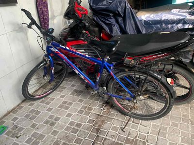 Xe đạp AZI sport bike Xanh dương. Mua bán Xe đạp tại Quận 8 Tp Hồ Chí Minh được đăng bởi B Louis