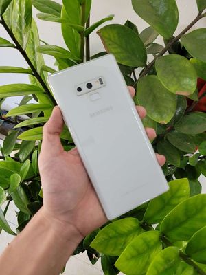 🌸Note 9 sẵn đủ loại đủ màu,mời ace ghé lựa nha🌸. Mua bán Điện thoại tại Quận 11 Tp Hồ Chí Minh được đăng bởi Diễm