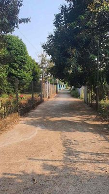 Bán đất Long Khánh Giá rẻ. Mua bán đất tại Thành phố Long Khánh Đồng Nai được đăng bởi Nguyễn Thị Thu Thảo