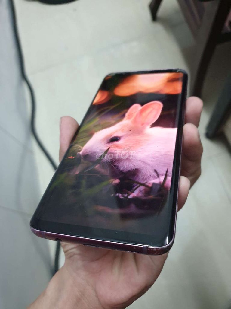 S9plus samsung hồng tím