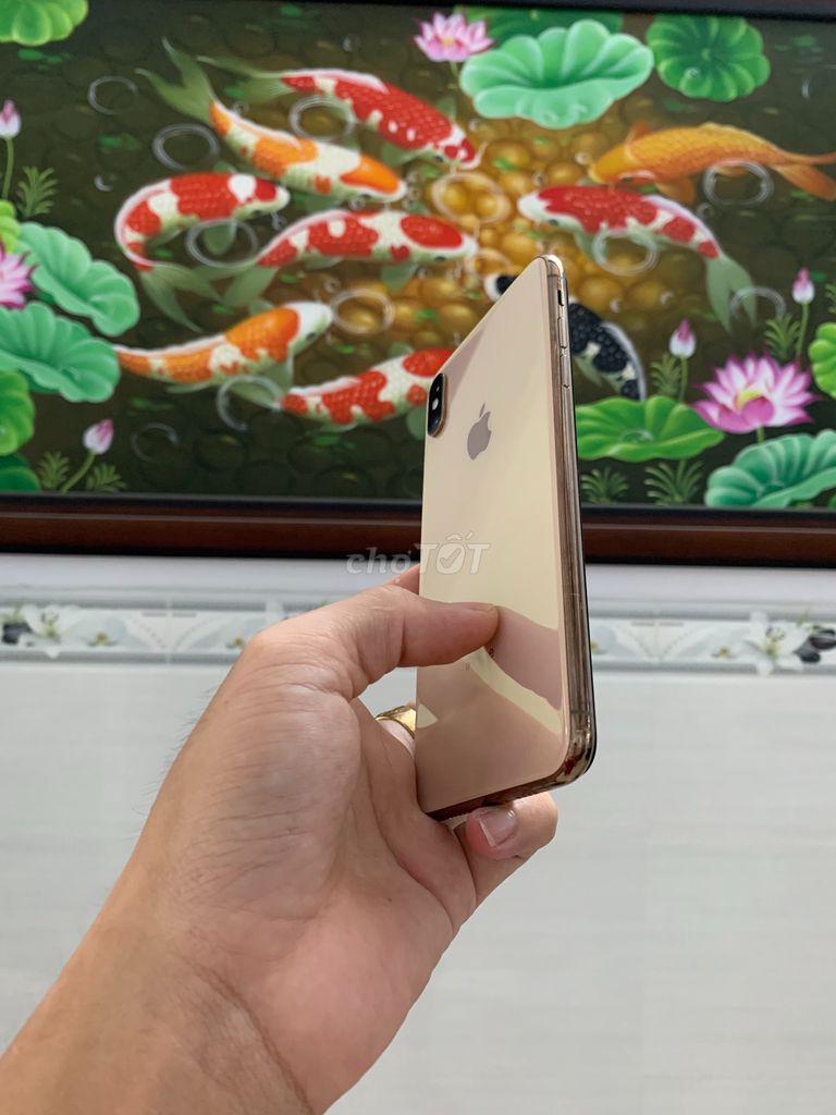 0938919715 - iPhone XS Max 256 GB quốc tế LL/A no face