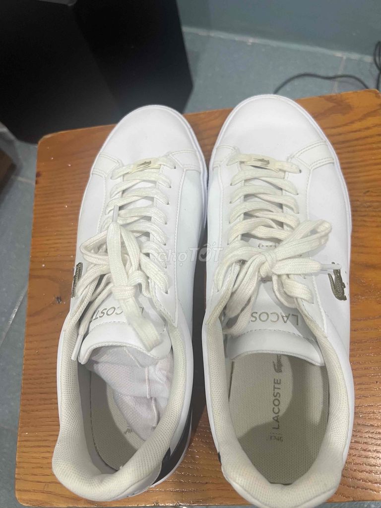 cần ra đi đồi đay lacoste số 43 cho ae cần