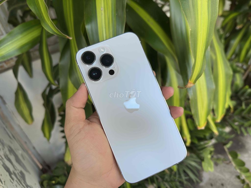 Apple iPhone 14 Pro Max 256GB Quốc tế. Mua bán Điện thoại tại Quận Ninh Kiều Cần Thơ được đăng bởi ĐIỆN THOẠI GIÁ TỐT UY TÍN  hình 1