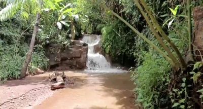 Bán 2ha vườn mắc ca suối thác mini đẹp. Mua bán đất tại Huyện Tuy Đức Đắk Nông được đăng bởi Sweet Home