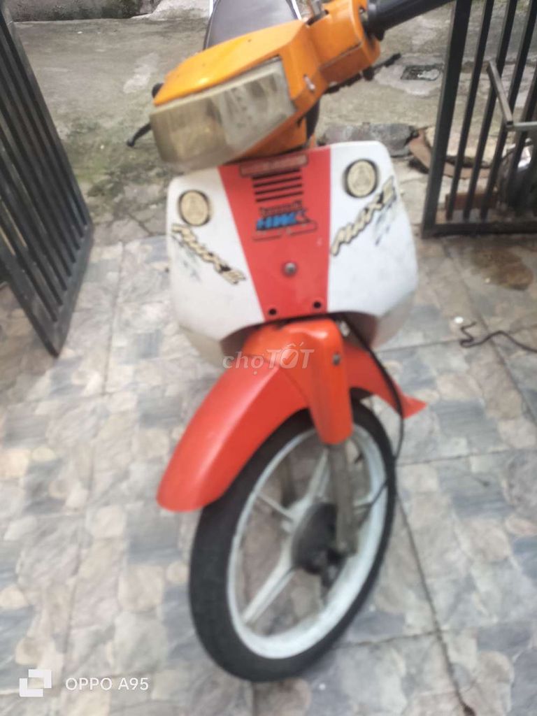 maxneo50cc