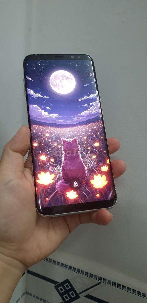 Samsung S8plus lướt tiktok ngày tết. Mua bán Điện thoại tại Quận Tân Phú Tp Hồ Chí Minh được đăng bởi Trần Gia Bảo hình 1