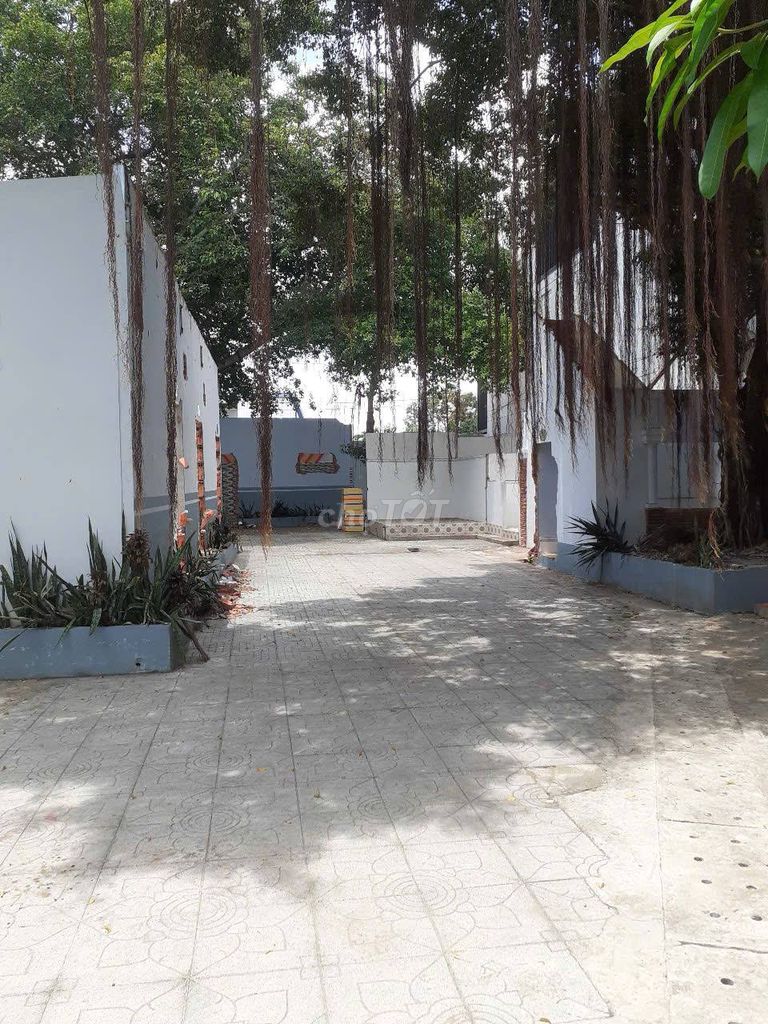 MẶT BẰNG KINH DOANH NHÀ CHÍNH CHỦ 500M2 237/1A, PHƯỜNG AN HỘI, BẾN TRE. Cho thuê văn phòng, mặt bằng kinh doanh tại Thành phố Bến Tre Bến Tre được đăng bởi Huỳnh Nguyên hình 2