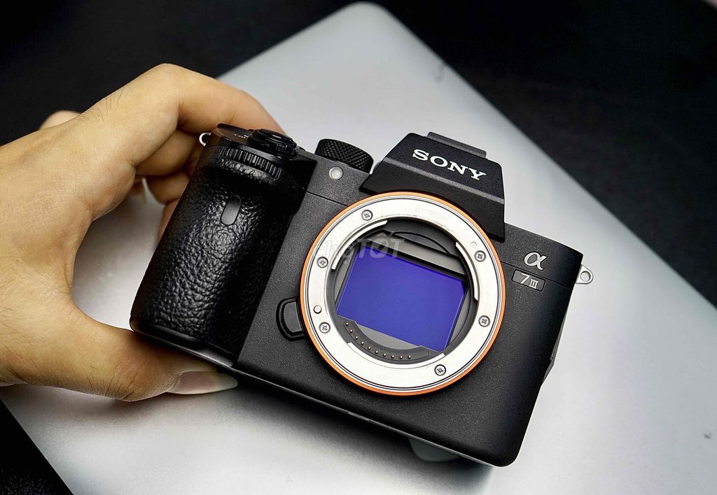 Máy ảnh Sony A73 Đen. Mua bán Máy ảnh, Máy quay tại Quận 3 Tp Hồ Chí Minh được đăng bởi Nguyễn Quang Minh hình 1