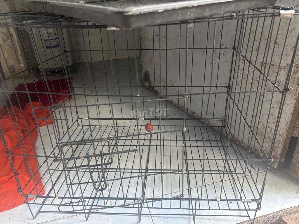 chuồng chó. Mua bán Phụ kiện, Thức ăn, Dịch vụ tại Thành phố Dĩ An Bình Dương được đăng bởi Bùi Thị Thủy Tiền hình 1