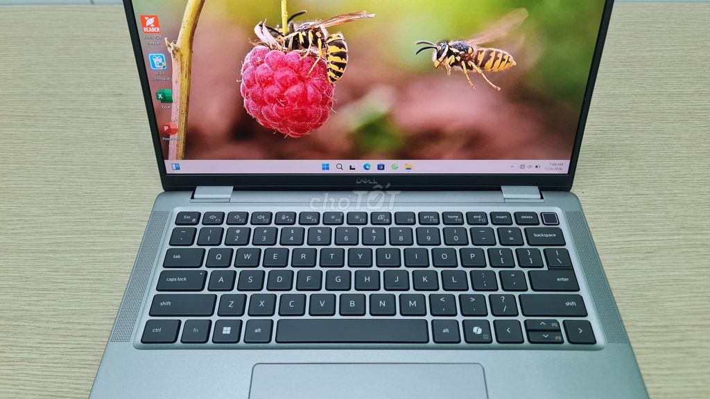 Dell 7450 Ultra 7 Like New, Laptop Ai Cao Cấp. Mua bán Laptop tại Quận 10 Tp Hồ Chí Minh được đăng bởi Đinh Thị Hoài hình 1