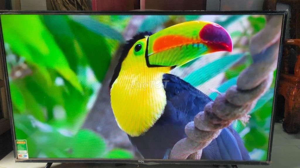 smart tv TVL 43IN 4K giọng nói yourube chạy nhanh . Mua bán Tivi, Âm thanh tại Huyện Bình Chánh Tp Hồ Chí Minh được đăng bởi Pham vinh hình 1