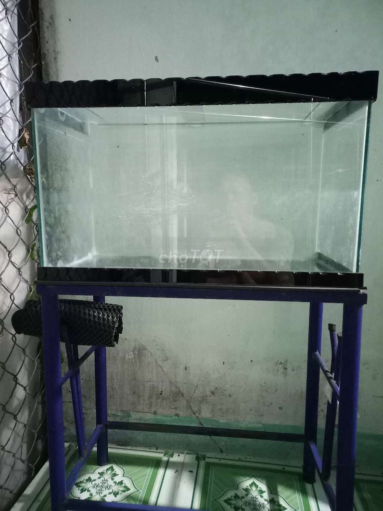 Hồ cá Kính 60x40 cm. Mua bán Phụ kiện, Thức ăn, Dịch vụ tại Huyện Củ Chi Tp Hồ Chí Minh được đăng bởi nguyễn thành sơn hình 1
