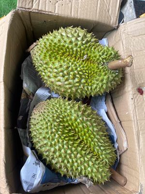 Bán trái cây khu vực HCM. Mua bán Đồ ăn, thực phẩm và các loại khác tại Quận Bình Thạnh Tp Hồ Chí Minh được đăng bởi Yu Yu