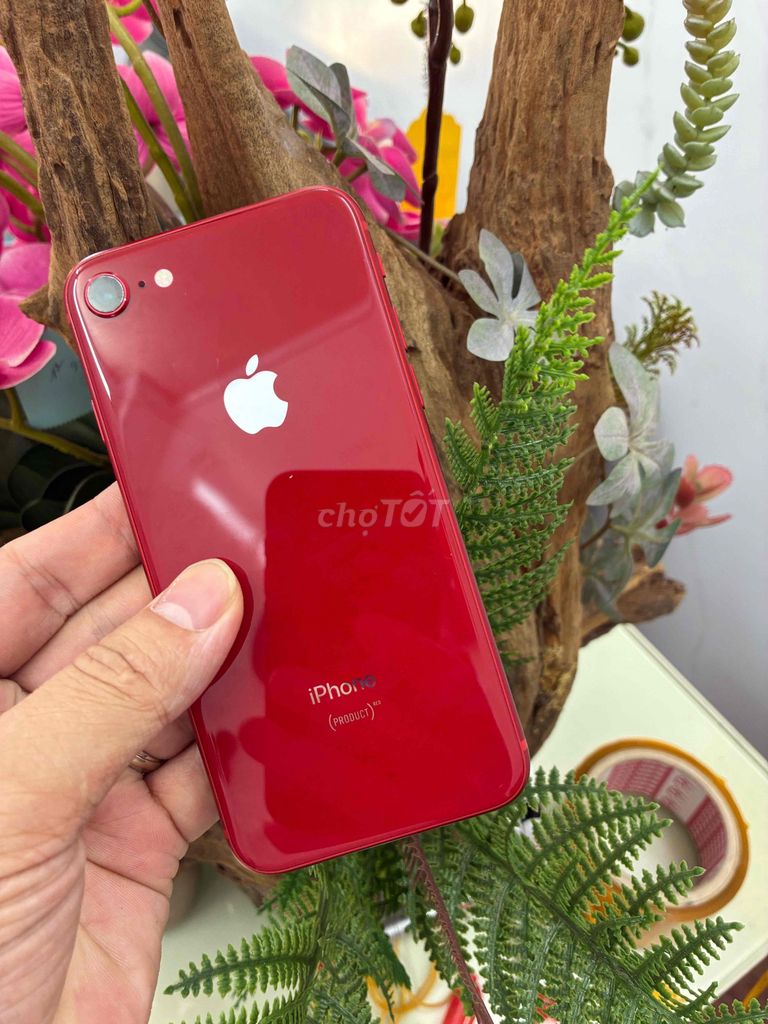 Apple iPhone 8 Đỏ quốc tế. Mua bán Điện thoại tại Thành phố Buôn Ma Thuột Đắk Lắk được đăng bởi Tèo Điện Thoại  hình 1