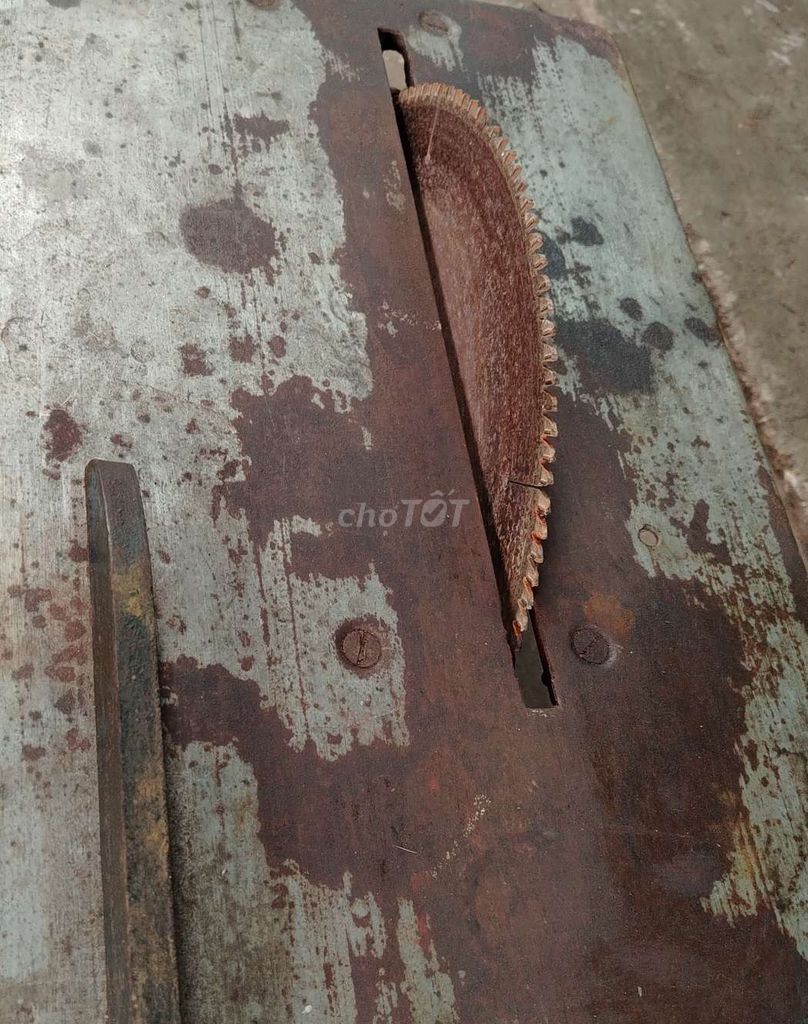 Máy cưa bàn Makita Xanh xám đã sử dụng. Mua bán Đồ chuyên dụng, Giống nuôi trồng tại Thành phố Thủ Đức Tp Hồ Chí Minh được đăng bởi Bin Tôm Chíp  hình 1