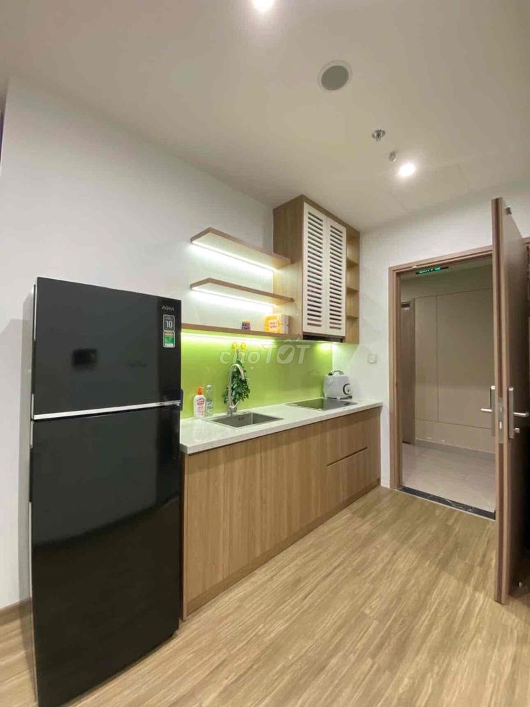 CHO THUÊ STUDIO BAN CÔNG PHÚ MỸ HƯNG TRUNG TÂM QUẬN 7 - ảnh 3