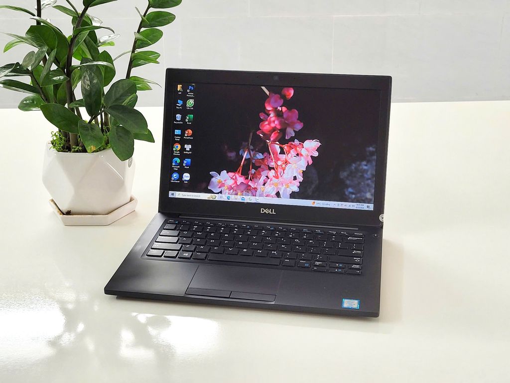 Dell Latitude 7290/ Nhỏ gọn, văn phòng thoải mái