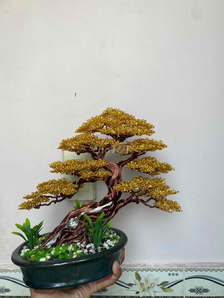 Bonsai dây nhôm mạ màu Vàng. Mua bán Cây cảnh, đồ trang trí tại Quận Tân Bình Tp Hồ Chí Minh được đăng bởi Trung Hải hình 1
