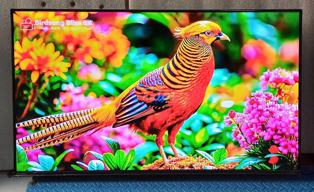 Tivi 4k Uled 43 inch mới 100% bh hãng 2 năm. Mua bán Tivi, Âm thanh tại Quận Ninh Kiều Cần Thơ được đăng bởi Luật Nguyễn hình 1