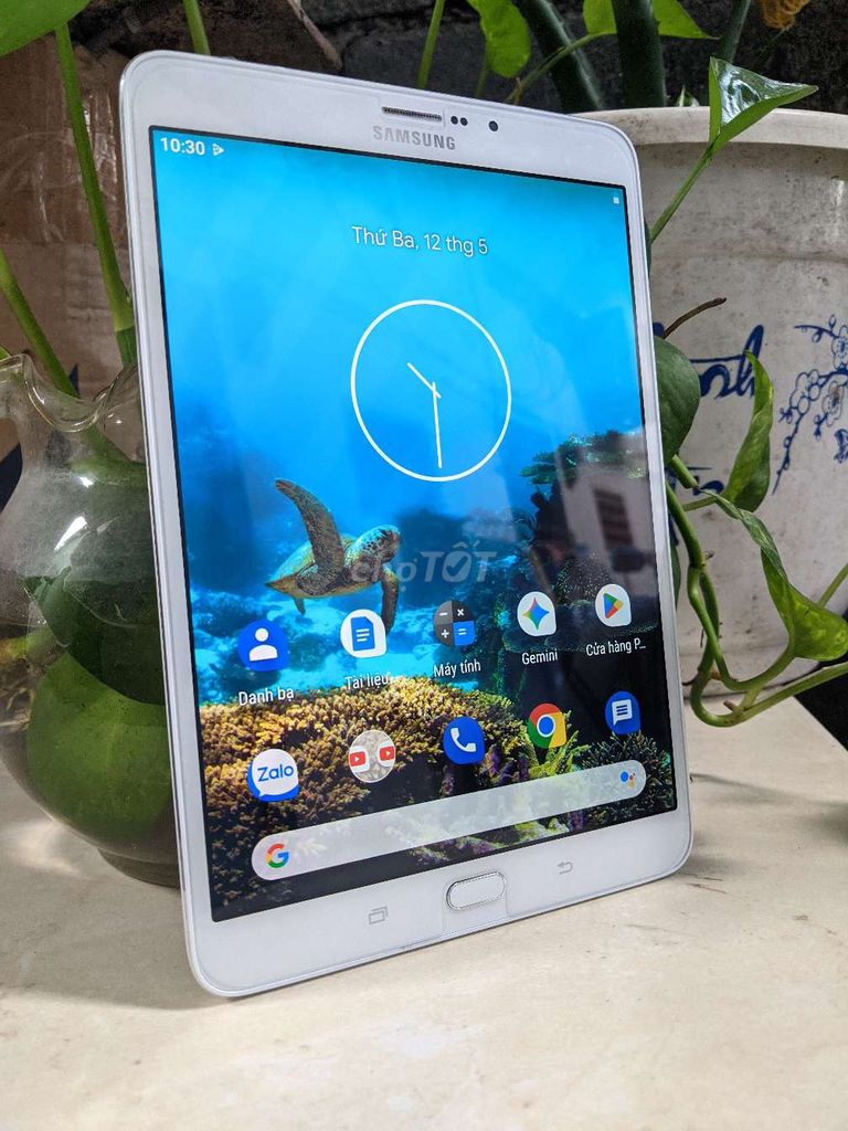 SamsungTab S2 kẹt tiền đổ xăng XÌPO . Mua bán Máy tính bảng tại Thành phố Biên Hòa Đồng Nai được đăng bởi Glak hình 1