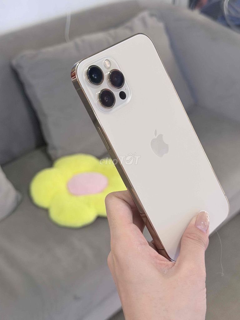 Apple iPhone 12 Pro Max 256GB Vàng Mỹ Góp Nợ Xấu. Mua bán Điện thoại tại Quận 8 Tp Hồ Chí Minh được đăng bởi TRƯỜNG MOBILE  hình 1