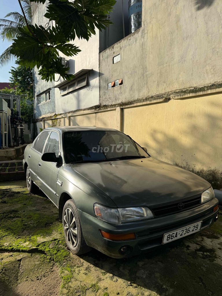 Ảnh số 2