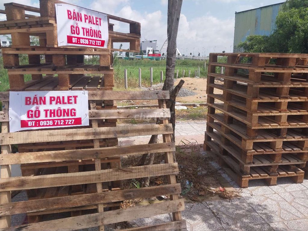Pallet gỗ thông sạch đẹp. Mua bán Giường, chăn ga gối nệm tại Quận Cái Răng Cần Thơ được đăng bởi A Hoàng hình 1