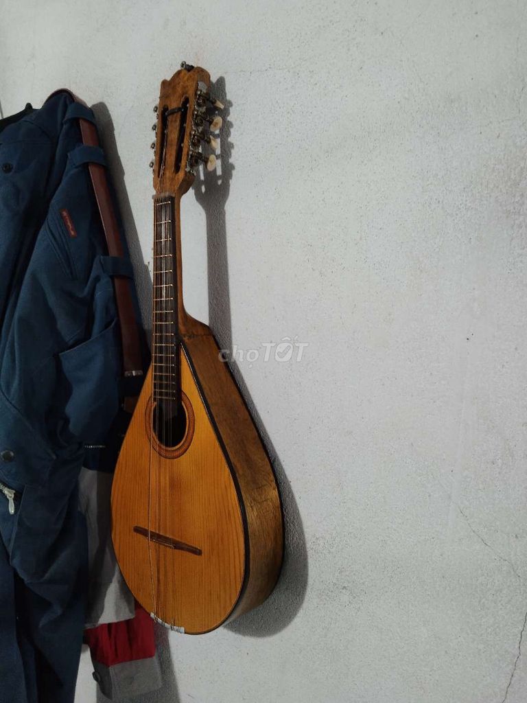 Mandolin bán hoặc giao lưu guitar