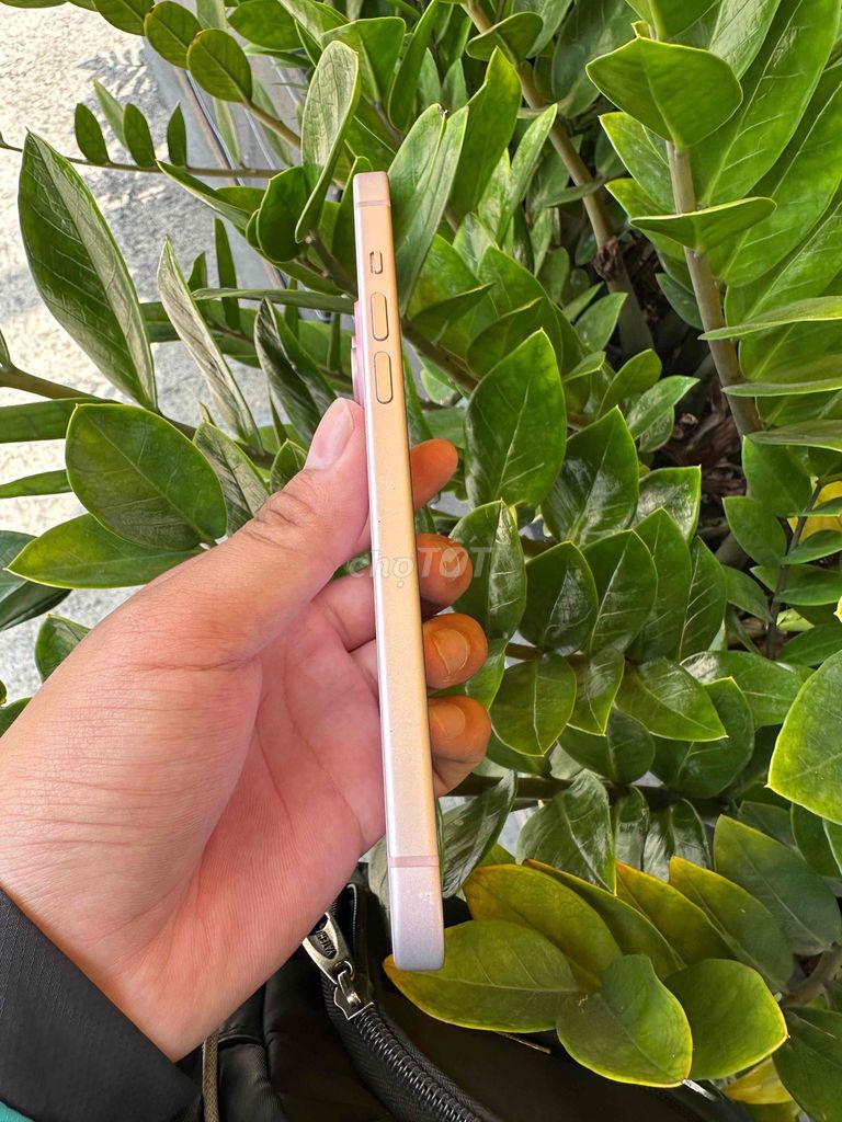 Apple iPhone 15 Plus 128GB Hồng. Mua bán Điện thoại tại Quận 7 Tp Hồ Chí Minh được đăng bởi Báo Thủ hình 1