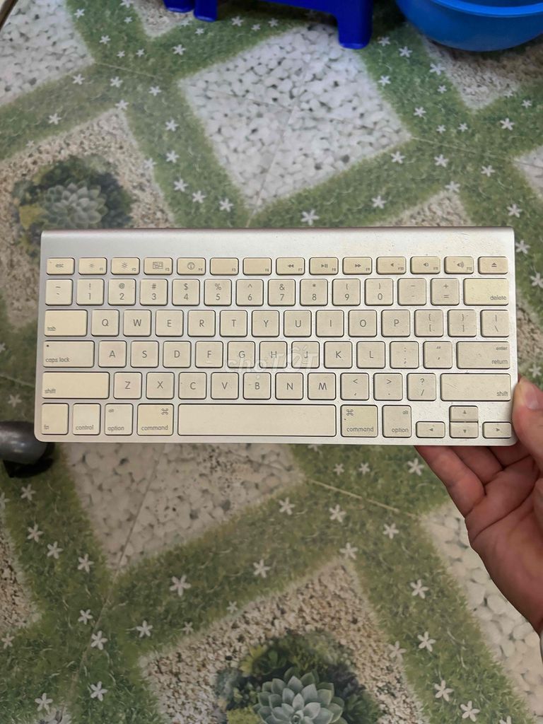 Magic Keyboard