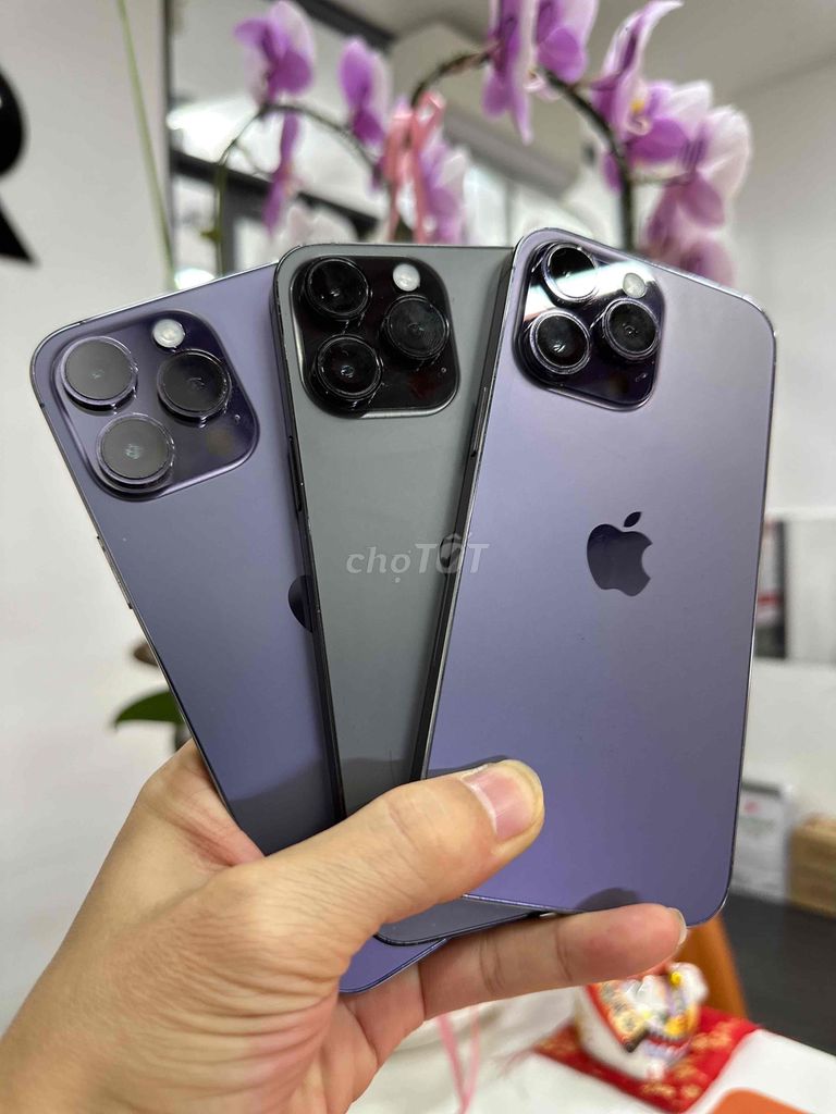 Apple iPhone 14 Pro Max Tím, Vàng. Mua bán Điện thoại tại Quận 11 Tp Hồ Chí Minh được đăng bởi huy hình 1