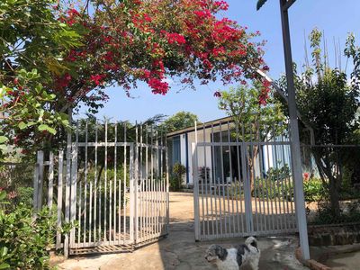 bán nhà vườn nghĩ dưỡng chính chủ