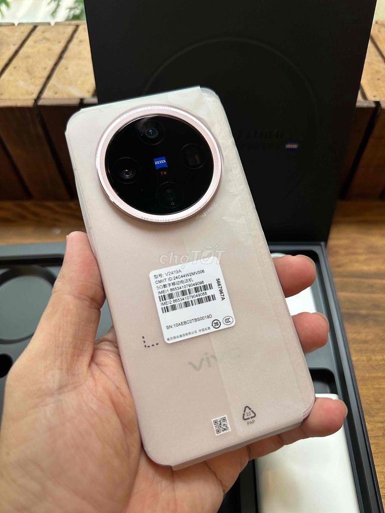 Vivo X200 Pro mini