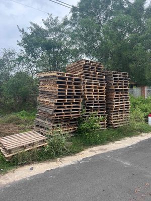 pallet. Mua bán Đồ chuyên dụng, Giống nuôi trồng tại Huyện Châu Đức Bà Rịa - Vũng Tàu được đăng bởi bi