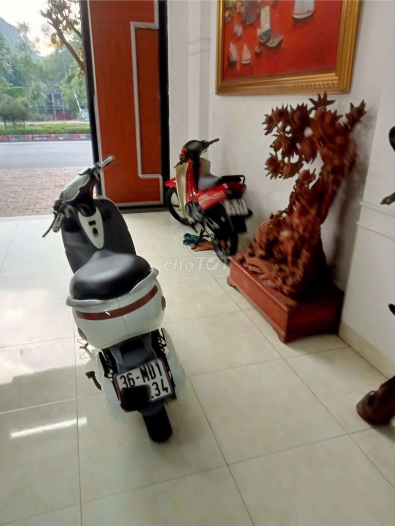Xe máy điện Dibao trắng. Mua bán Xe điện tại Thành phố Thanh Hóa Thanh Hóa được đăng bởi Nguyễn Đức thọ hình 4