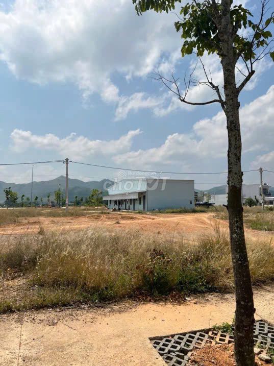 Cần bán dự án đất nền trong lòng khu công nghiệp vsip bình định Cần bán dự án đất nền trong lòng khu công nghiệp vsip bình định