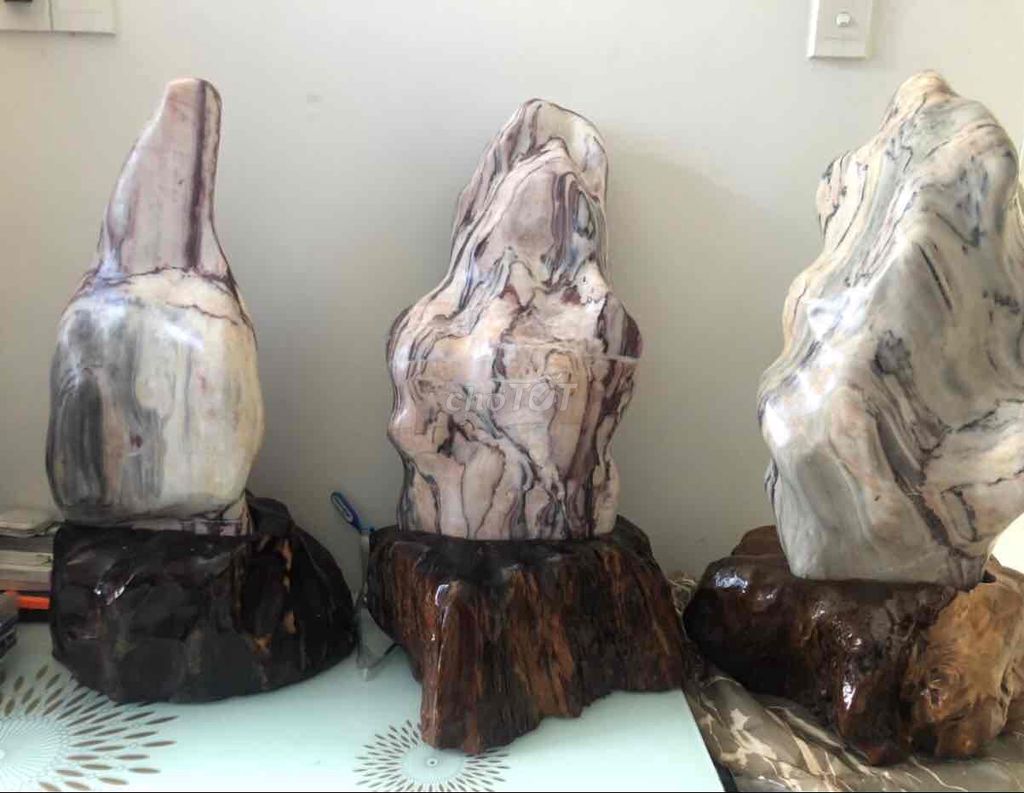 cây đá trang trí trong nhà đẹp. Mua bán Cây cảnh, đồ trang trí tại Quận Bình Tân Tp Hồ Chí Minh được đăng bởi  Solar I Bình Tân I Giải Pháp Công Nghệ hình 1