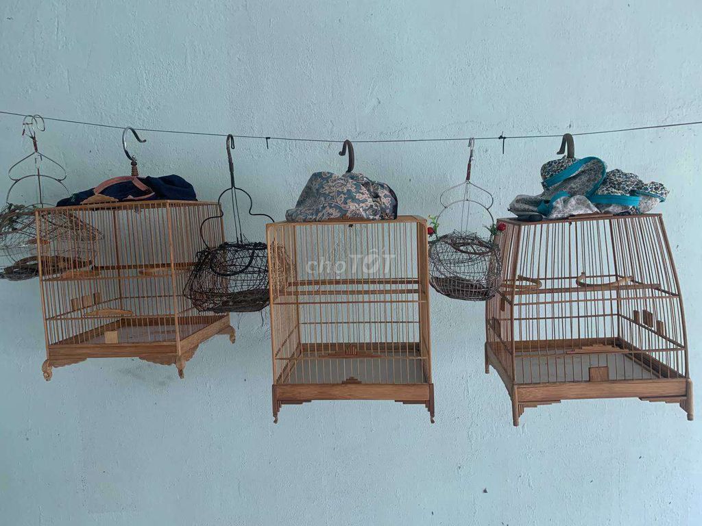 Lồng chim tre màu nâu đã sử dụng. Mua bán Chim tại Thị xã Bến Cát Bình Dương được đăng bởi tiền hình 1
