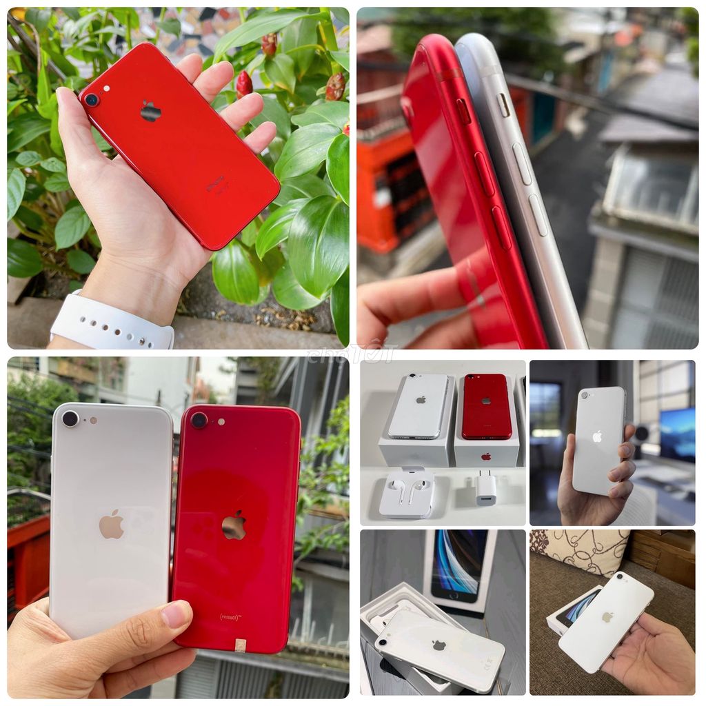 SE 2020 Quốc Tế 256GB/128GB/64Gb Có Bh có ship. Mua bán Điện thoại tại Quận Tân Phú Tp Hồ Chí Minh được đăng bởi Thảo Anh Apple Giá sỉ hình 3