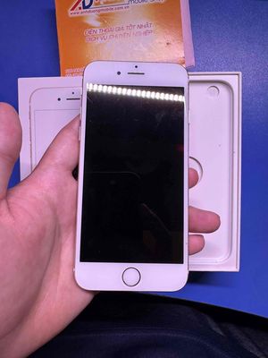Apple iPhone 6 32GB Vàng Đã qua sử dụng