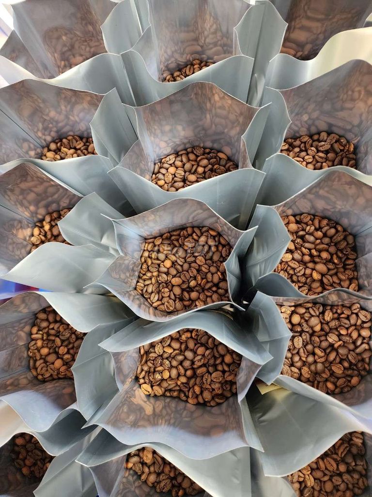 Giá sỉ cà phê hạt robusta s18/mộc từ 5kg