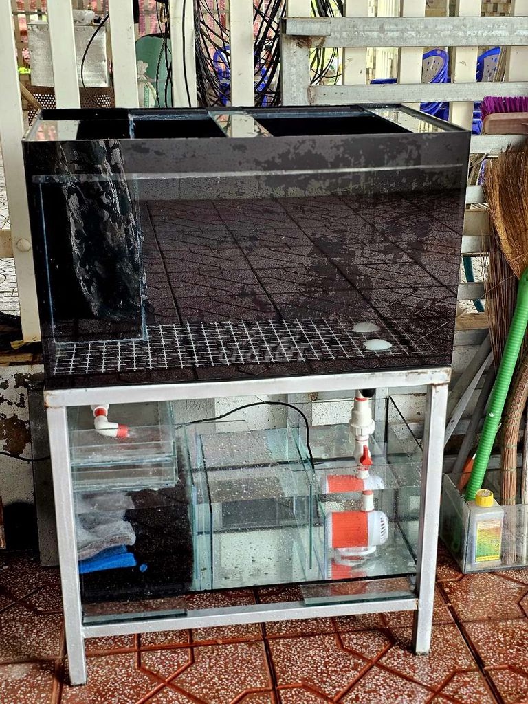 💥Full dàn Hồ 744 hút mặt hút đáy lọc tràn dưới. Mua bán Phụ kiện, Thức ăn, Dịch vụ tại Huyện Hòa Thành Tây Ninh được đăng bởi Sale off  hình 2