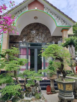 212m2, sẵn nhà mái thái kiên cố vào ở ngay, xe hơi đỗ trong sân, 990tr. Mua bán nhà ở tại Thị xã Hoài Nhơn Bình Định được đăng bởi Hồ Hồng