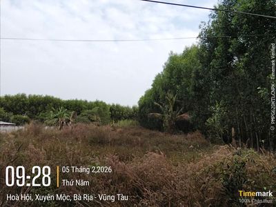 💥ĐẤT ĐẸP GIÁ HỜI - NGÂN HÀNG THANH LÝ TÀI SẢN - 2 THỬA 💥 