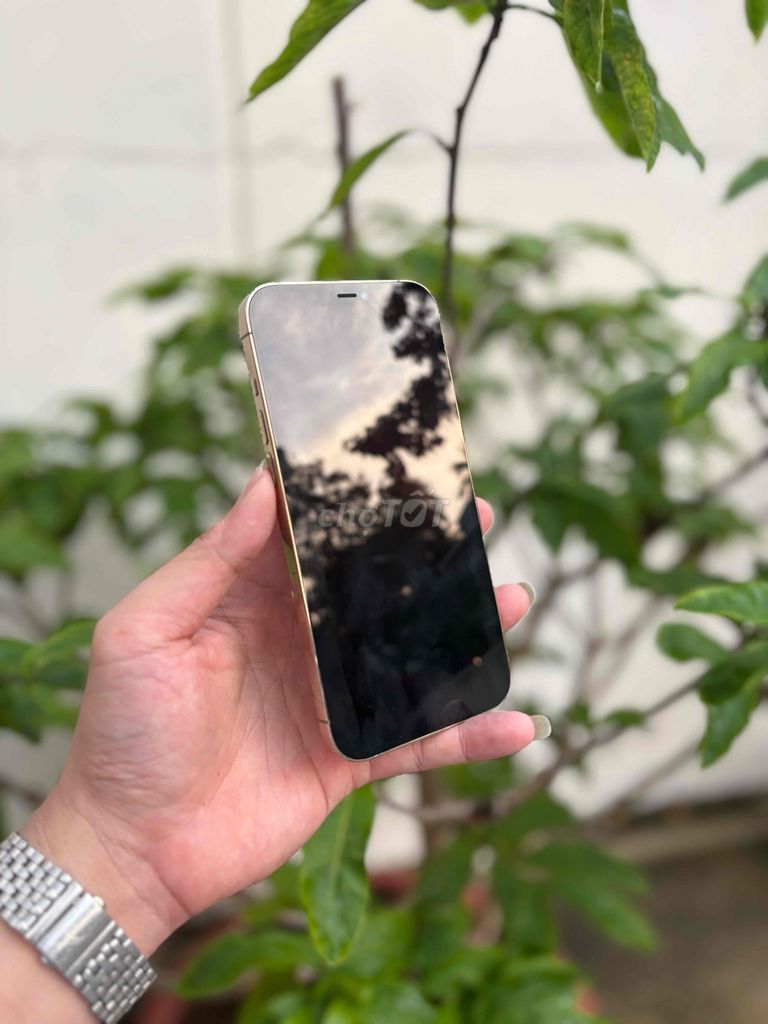 Apple iPhone 12 Pro Max 128GB Vàng. Mua bán Điện thoại tại Thành phố Vũng Tàu Bà Rịa - Vũng Tàu được đăng bởi BINHHYK  hình 1
