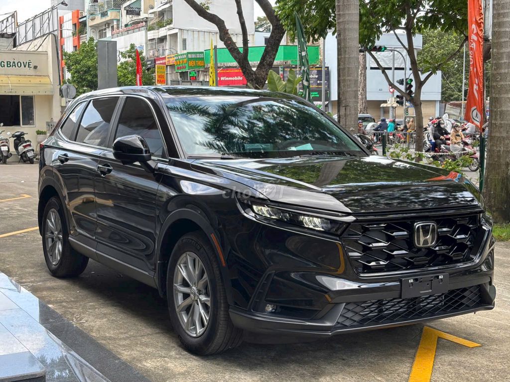 Ảnh số 5