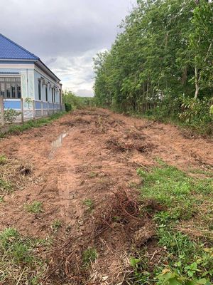 (Chính Chủ Bán) 3632m2 Đất Xã Minh Thạnh,TP.HCM- Mặt Tiền DT749A.