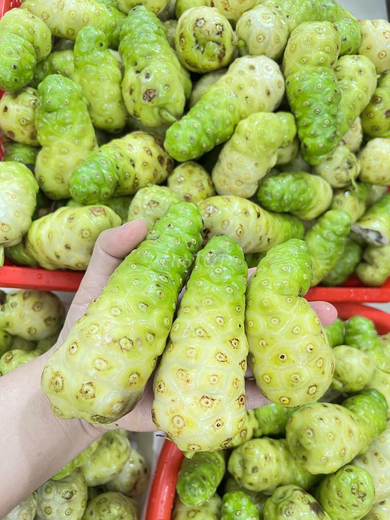 Nhàu tươi ngâm mật ong rừng nguyên chất. Mua bán Đồ ăn, thực phẩm và các loại khác tại Quận Tân Phú Tp Hồ Chí Minh được đăng bởi Nguyễn Thị Huyền hình 3